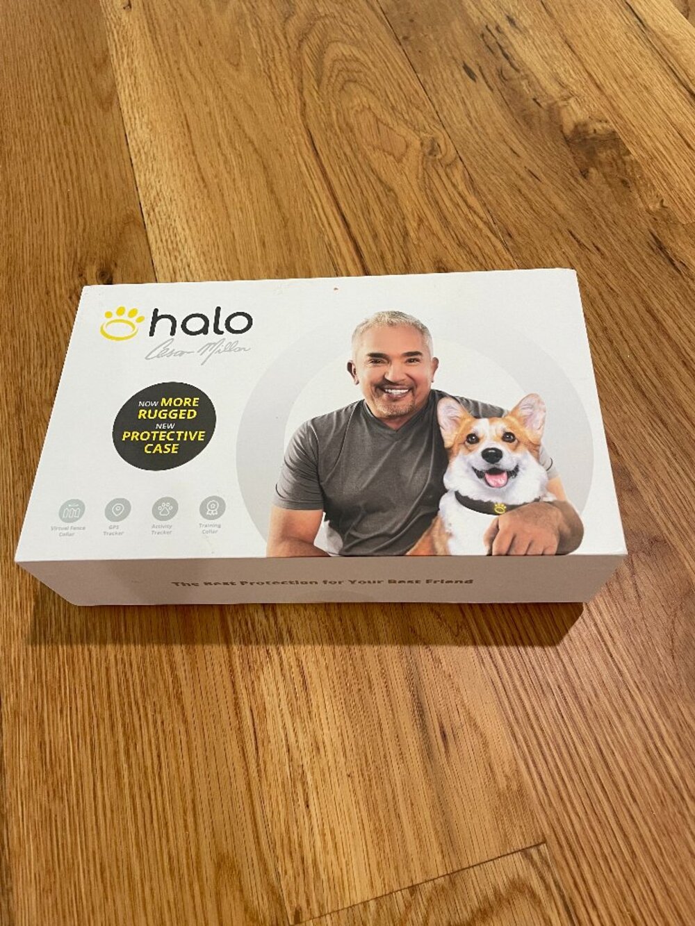 Halo 2 with Cesar Millan Invisible Fence